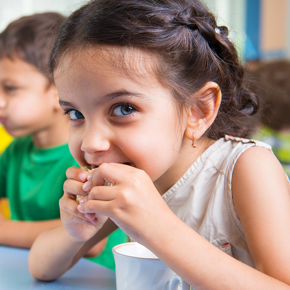 Tasty Snacks That Keep Little Bugs Buzzing